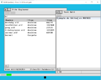 Qemu gui mkfree1.png