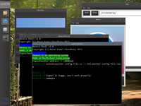 Xeneva2024March 5.png